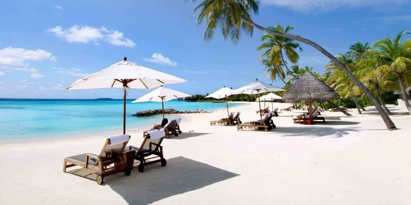 Hành trình tìm thấy vẻ đẹp tự nhiên